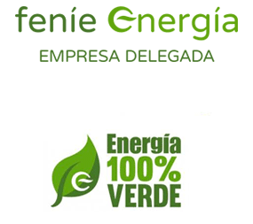 Fenie Energía